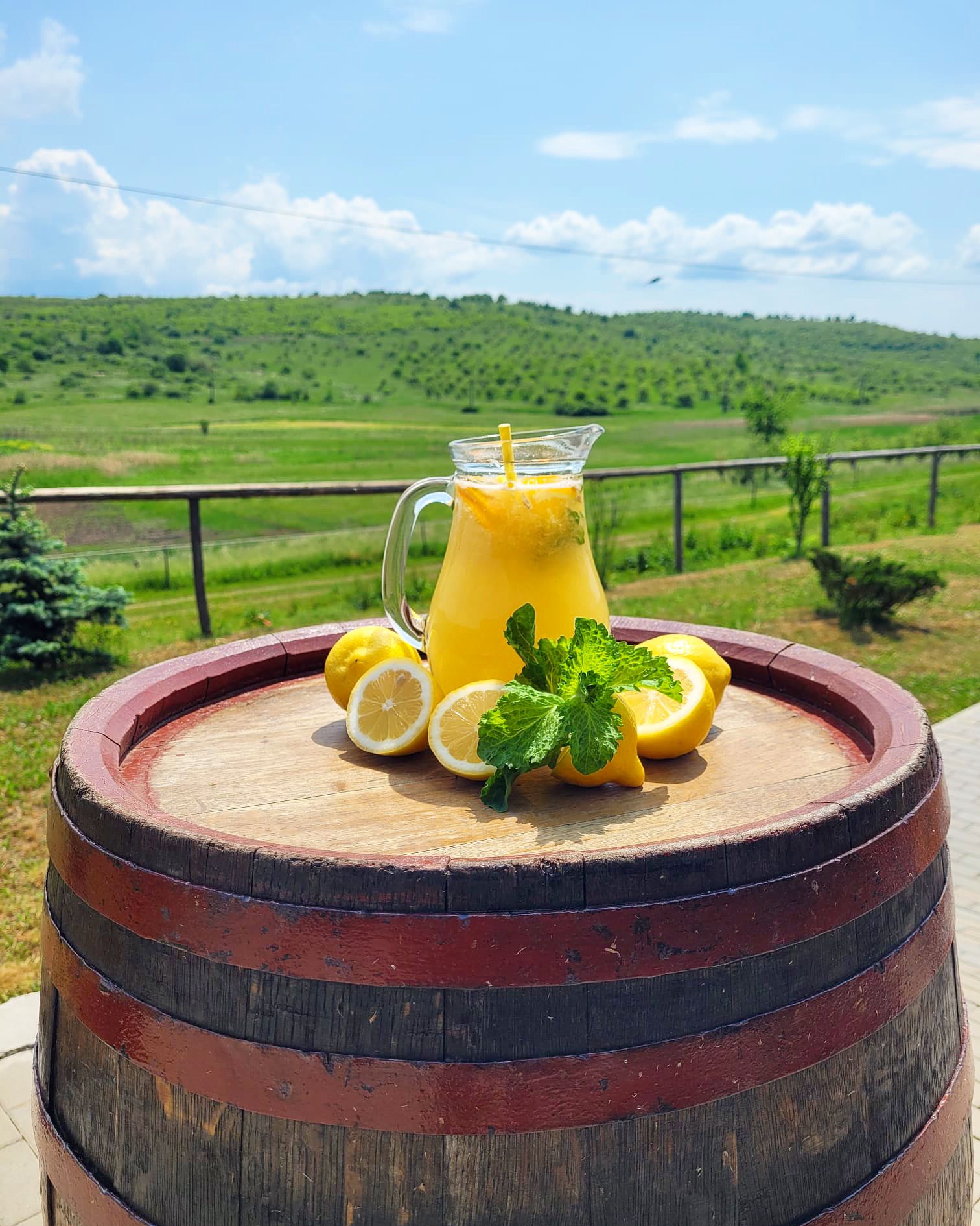 Limonadă de casă pe un butoi de vin, cu livada în fundal