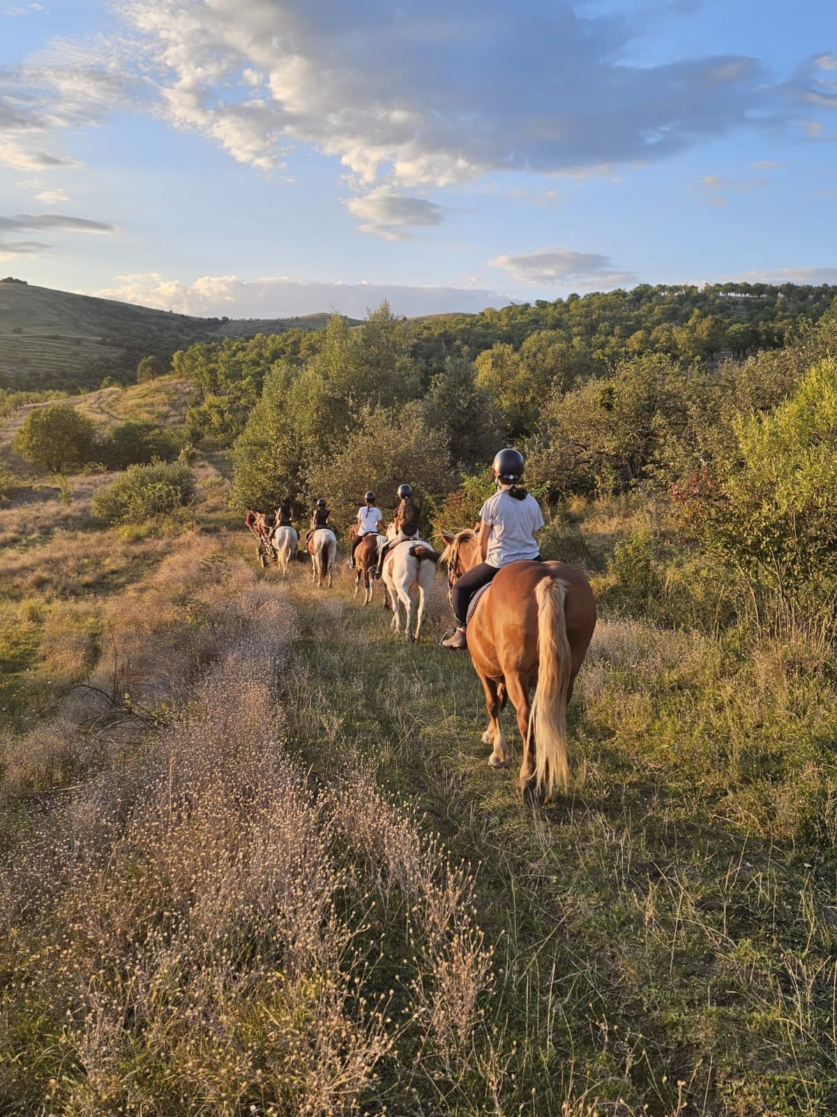 echitatie si drumetie00001