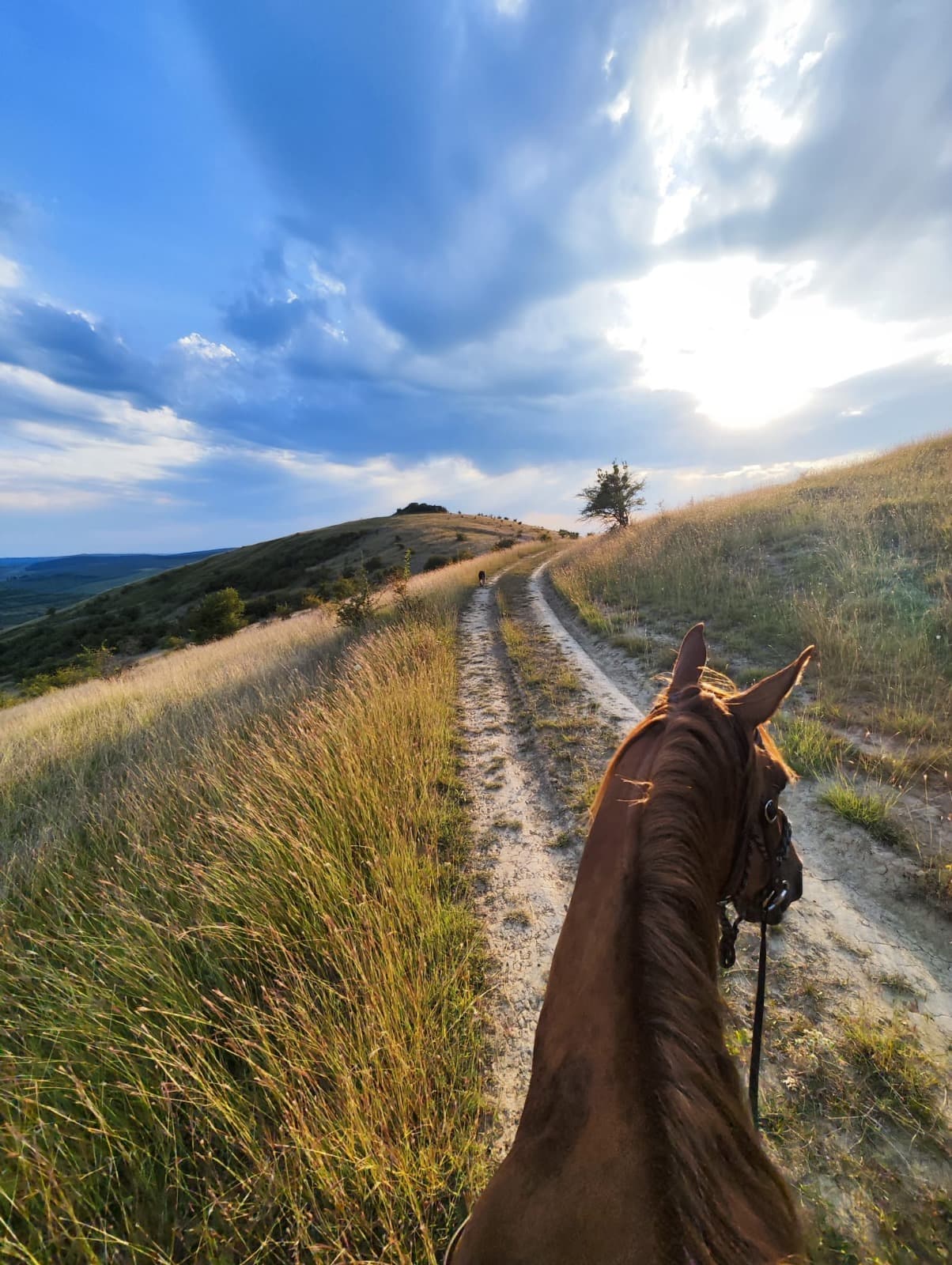 echitatie si drumetie00002