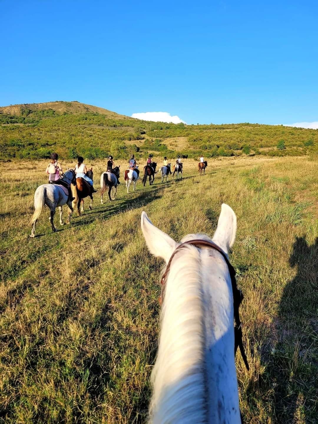 echitatie si drumetie00003