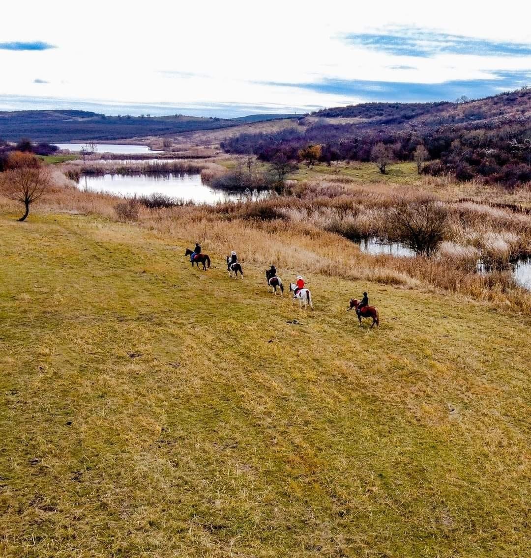 echitatie si drumetie00004