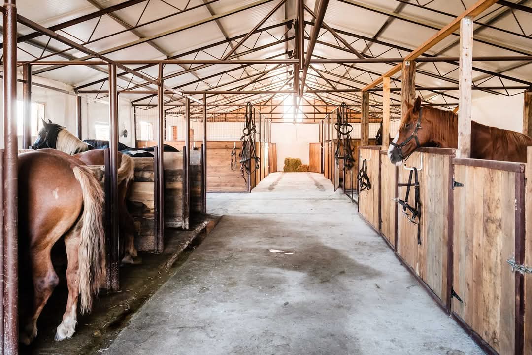 la hanul cailor00036